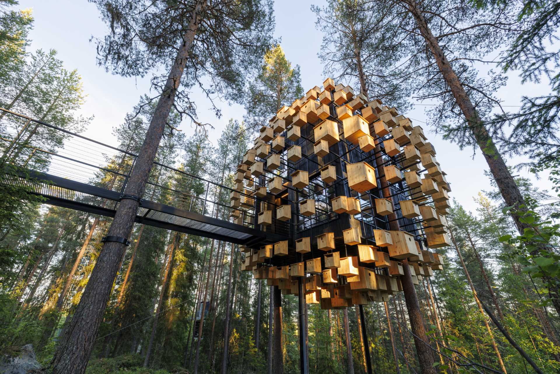 هتل معلق در جنگل سوئد با 350 خانه پرنده